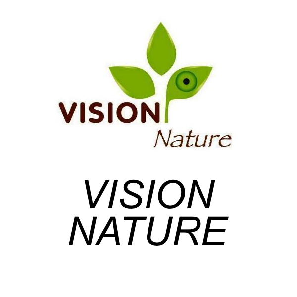 Vision nature