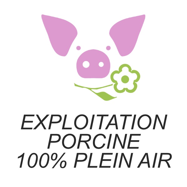 Exploitation porcine 100% plein air
